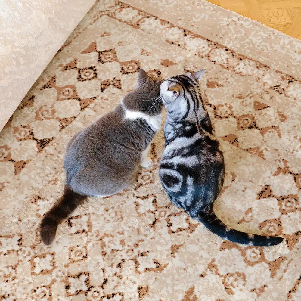 Two cats sitting on beige Persian-style rug showing soft and pet-friendly surface