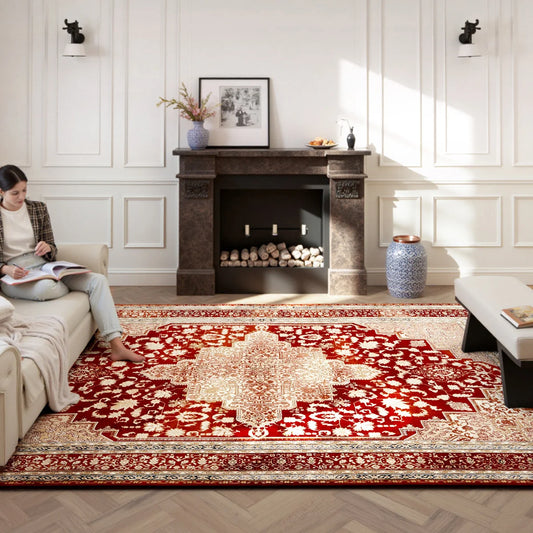 red Persian style area rug in a modern living room with sofa and fireplace